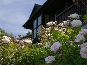 Barclay House Cottages Looe Exterior photo